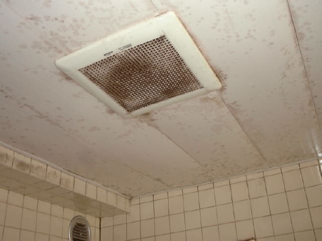 浴室天井・カビ除去洗浄施工　施工前