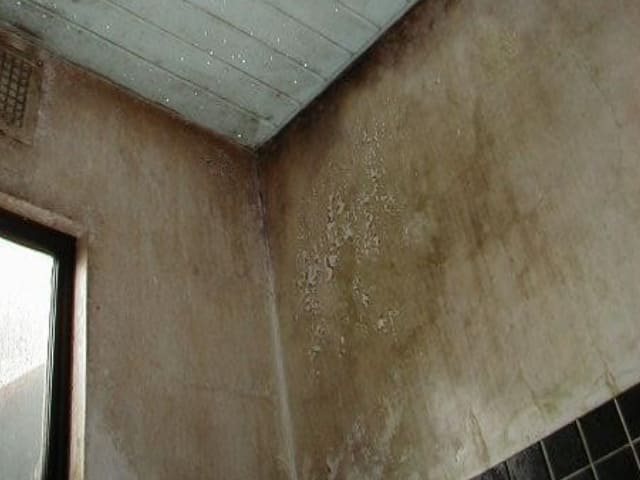 浴室壁・カビ除去洗浄施工　施工前