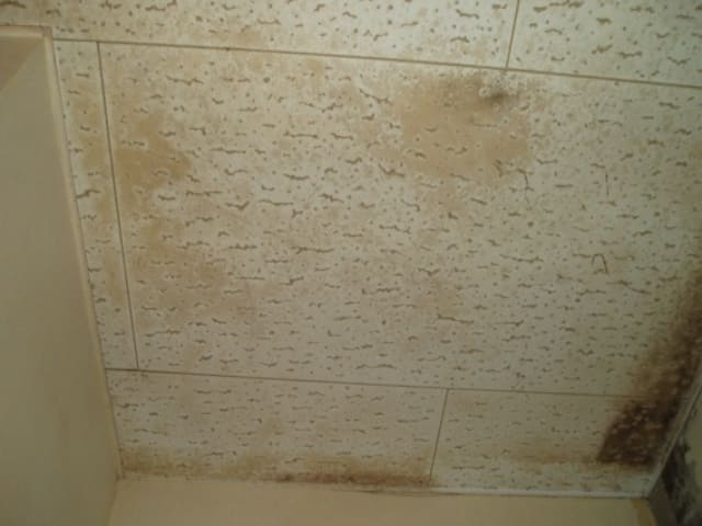 室内天井・ジプトンカビ除去洗浄施工　施工前